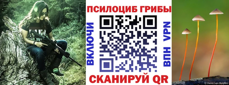 Псилоцибиновые грибы ЛСД  Фрязино 